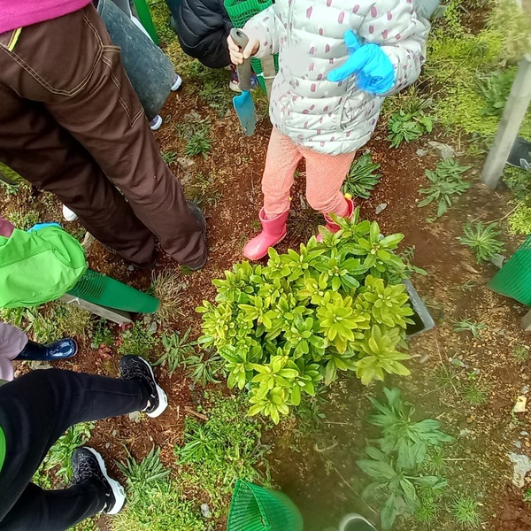 LIFE BEETLES recebe grupo de pequenos voluntários no Dia Mundial da Árvore!