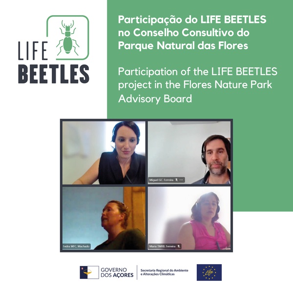 Participation of the LIFE BEETLES project in the Flores Nature Park Advisory Board