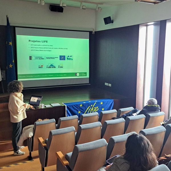 Conselho Consultivo de Santa Maria destaca avanços do projeto LIFE IP AZORES NATURA