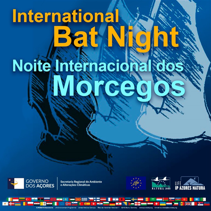 Noite Internacional dos Morcegos