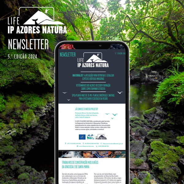 A nova edição da newsletter do LIFE IP AZORES NATURA já se encontra disponível!