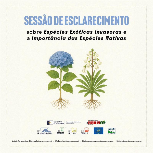 Information session on invasive alien species