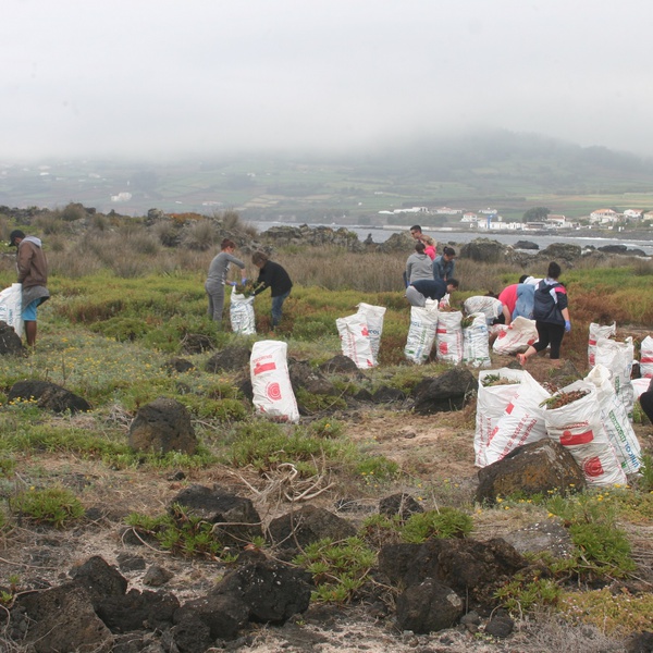 Parque Natural da Terceira – Ecoteca: Vamos arregaçar as mangas!