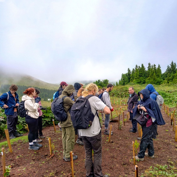 Students from the University of Plymouth, in the United Kingdom, participate in conservation actions at LIFE IP AZORES NATURA