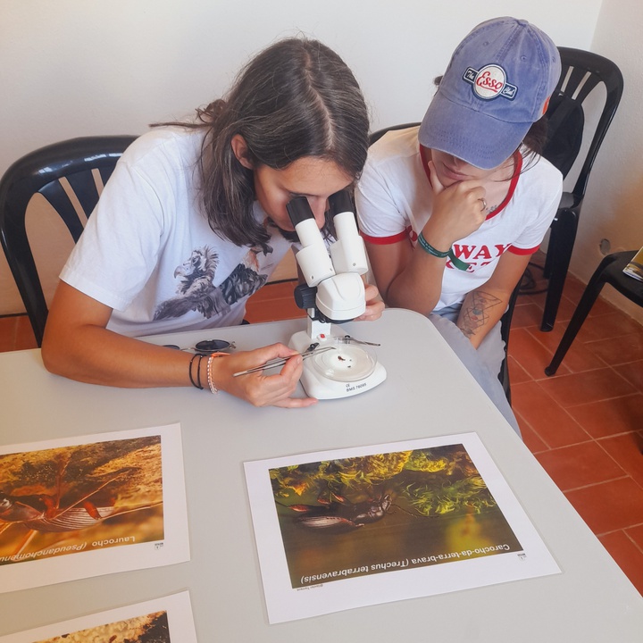 Participação do projeto LIFE BEETLES no maior evento de natureza de Portugal!