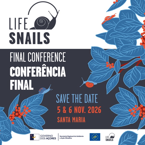 Save the date: Conferência Final