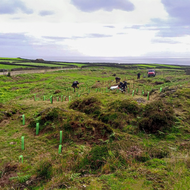 DRAAC promotes recovery and restoration work on the bank of the Ribeira do Testo on Terceira, as part of the LIFE IP CLIMAZ project