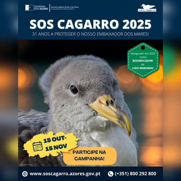 Campanha SOS Cagarro arranca na quarta-feira e mobiliza entidades públicas e privadas