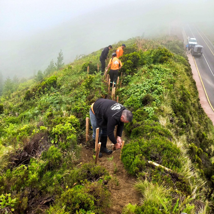 LIFE IP AZORES NATURA promotes planting of endemic and native species in Lagoa do Fogo