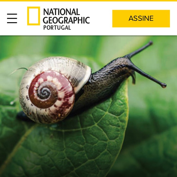 O LIFE SNAILS na National Geographic!