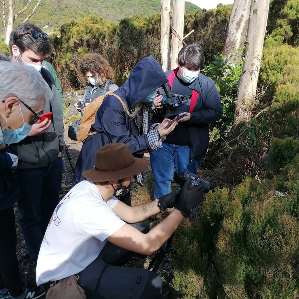 LIFE BEETLES | Workshop – Natureza através da Lente – Ilha Terceira
