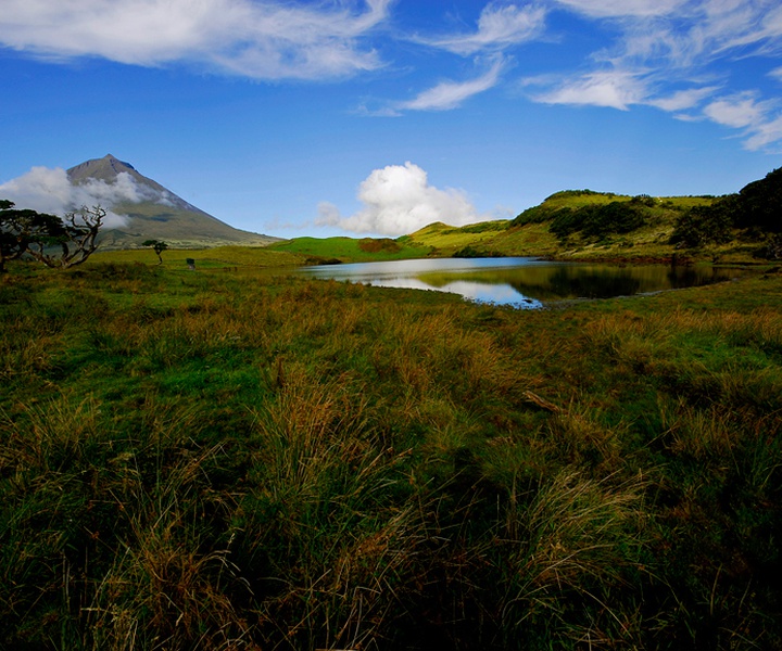 LIFE IP AZORES NATURA | TOP 5 – As 5 maiores Zonas Especiais de Conservação (ZEC) terrestres dos Açores