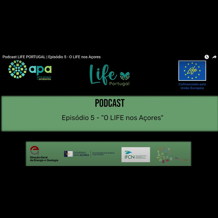 LIFE BEETLES – Participação no Podcast LIFE Portugal