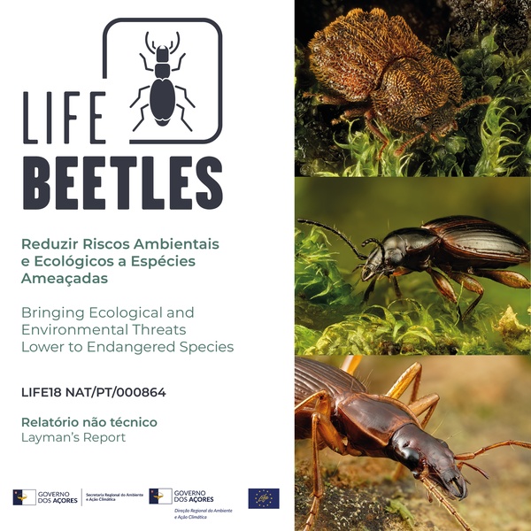 Já conhece os resultados do projeto LIFE BEETLES?