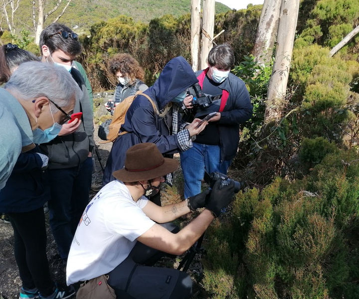LIFE BEETLES | Workshop – Nature through the Lens – Terceira Island