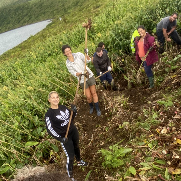 Team building of Wild Ginger sprouts removal in Lagoa Rasa