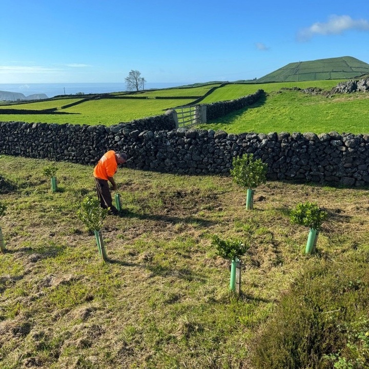 LIFE IP CLIMAZ: Monitoring of species planted in Ribeira do Testo