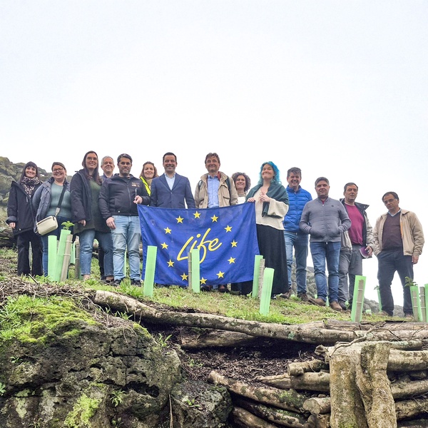 Alonso Miguel sublinha relevância do projeto LIFE IP CLIMAZ para adaptação climática e proteção de pessoas e bens nos Açores