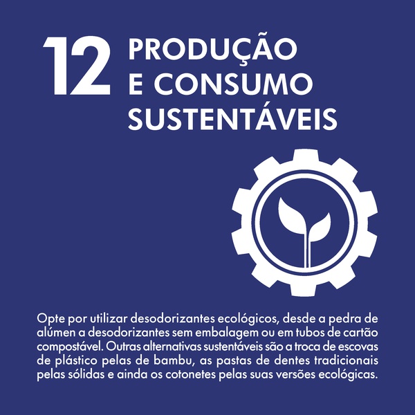 Objetivo 12 – Garantir padrões de consumo e de produção sustentáveis