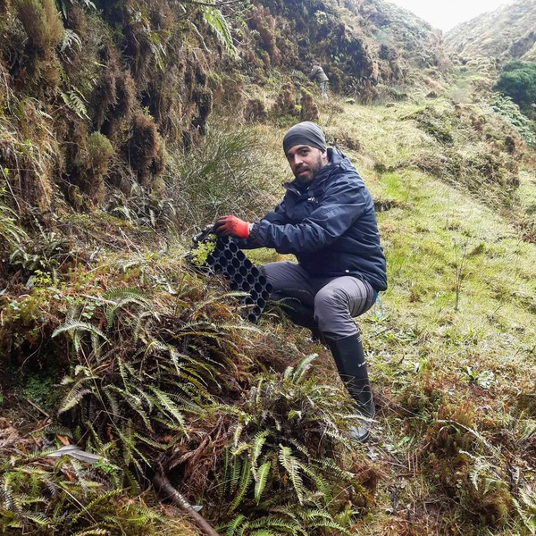 Continuam os trabalhos de conservação na ilha do Faial