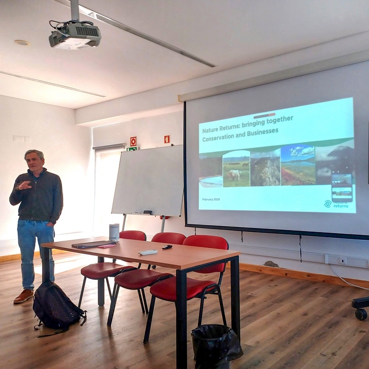 LIFE IP AZORES NATURA participa no workshop anual do Projeto Piloto do Plano de Gestão do Parque Natural da Ilha do Pico