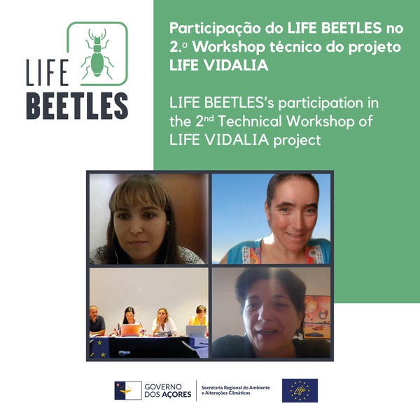 Participação do LIFE BEETLES no 2.º 𝙒𝙤𝙧𝙠𝙨𝙝𝙤𝙥 técnico do projeto LIFE VIDALIA