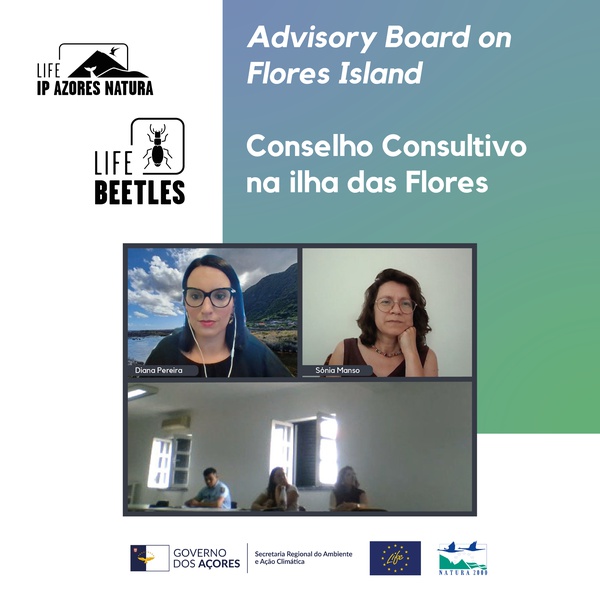 Advisory Board on Flores island