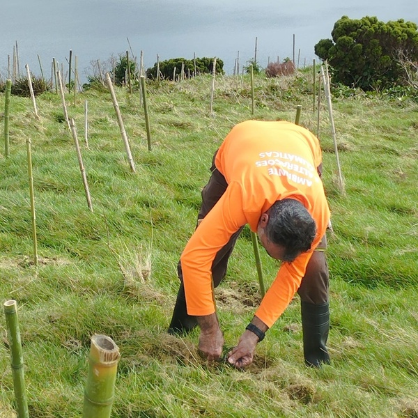 O trabalho continua após término do LIFE BEETLES!