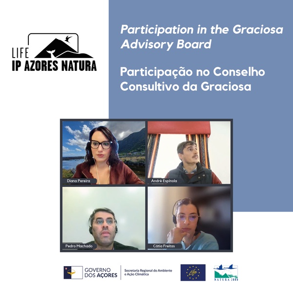 Resultados dos trabalhos na Graciosa apresentados em reunião do Conselho Consultivo