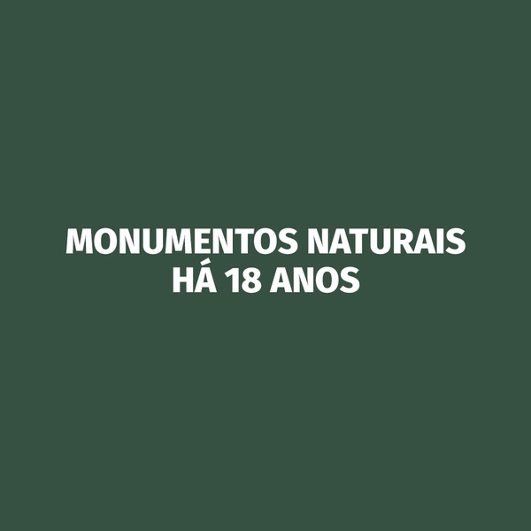 Furnas do Enxofre and Algar do Carvão – Natural Monuments for 18 years