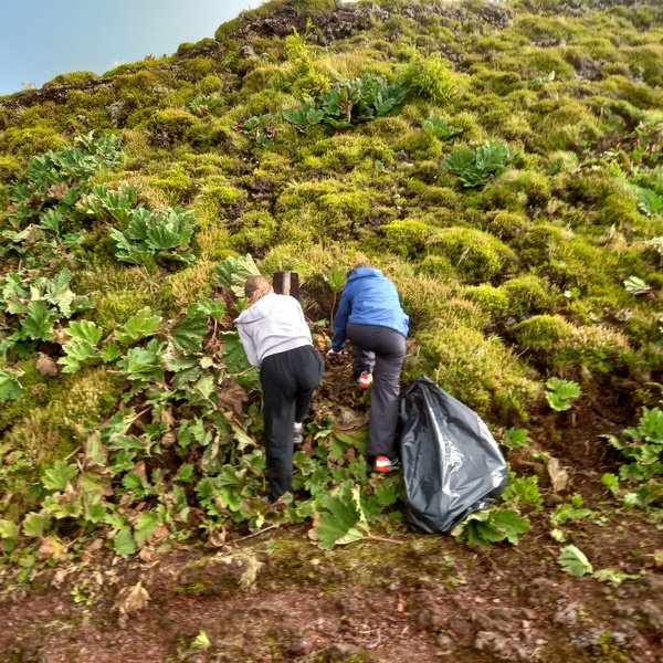 Alunos suíços fazem ação de voluntariado em São Miguel