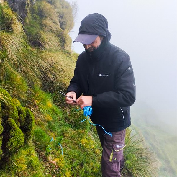 Faial Botanic Garden expedition contributes to the conservation of Corvo’s flora