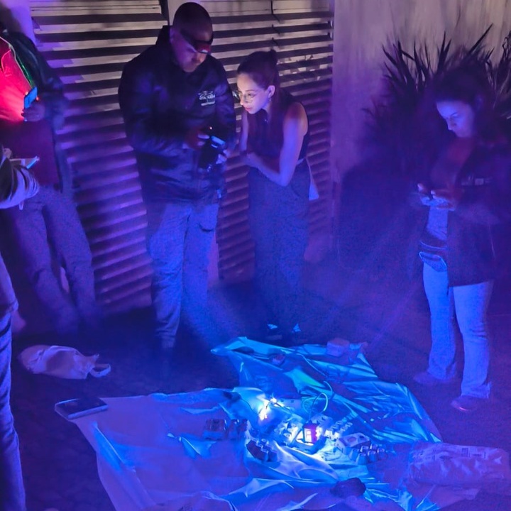 Nocturnal Butterfly Observation Activity on Terceira