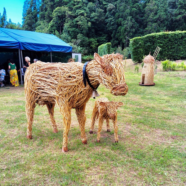 VII Festival de Fibras Naturais recebe mais de 620 visitantes