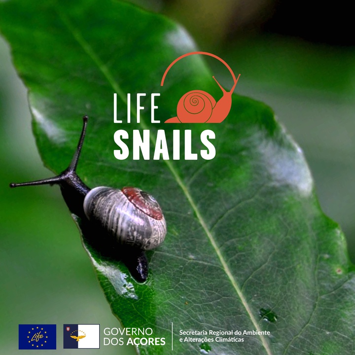 As espécies-alvo do projeto LIFE SNAILS