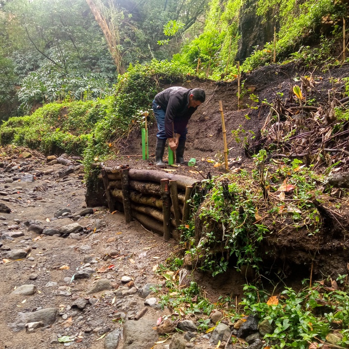 No âmbito do LIFE IP CLIMAZ, a DRAAC promove trabalhos de recuperação, restauro e estabilização das margens do leito das ribeiras em São Miguel