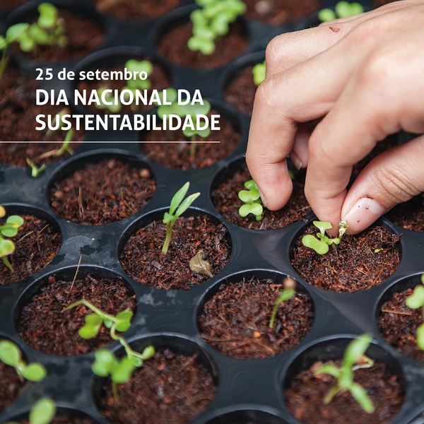 Dia Nacional da Sustentabilidade