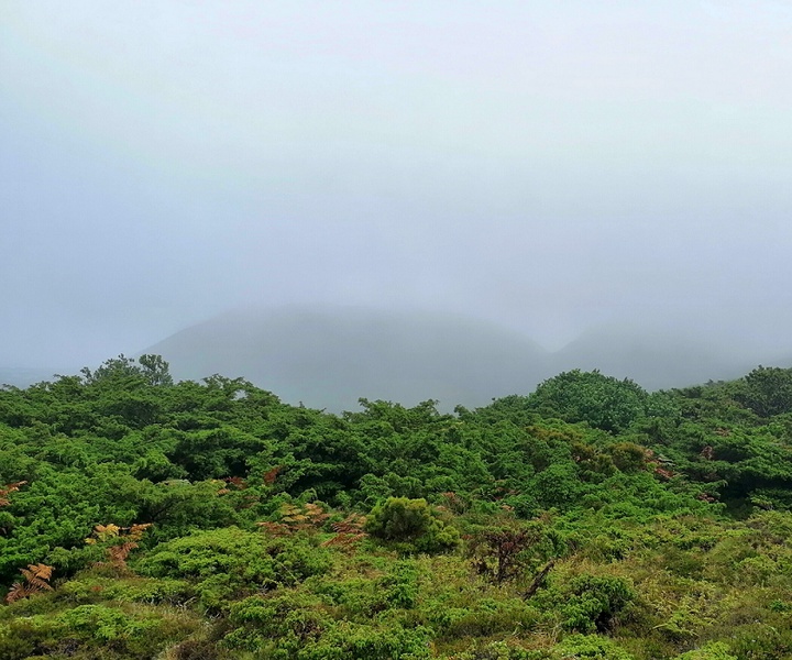 LIFE BEETLES | Intervention Areas - TER1 – Terceira – Lagoa do Pinheiro
