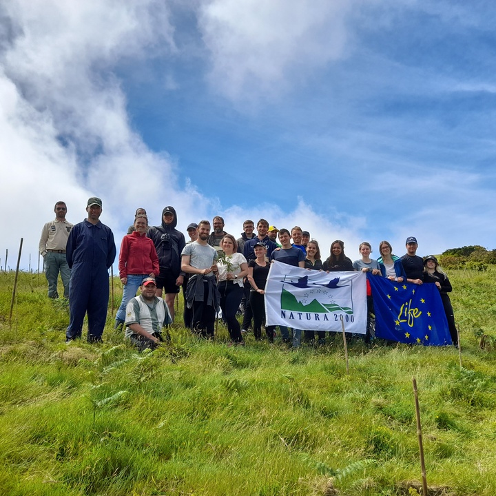 German university participates in action of the LIFE BEETLES