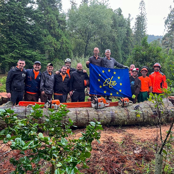 LIFE IP CLIMAZ promotes training in safe chainsaw operation