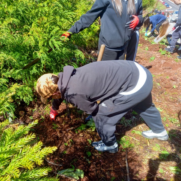 Ação de Voluntariado Ambiental na Lagoa do Carvão