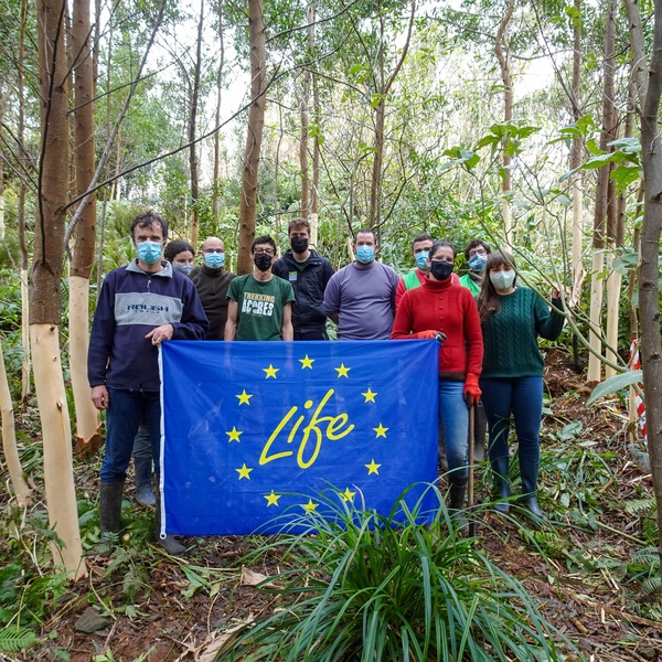 LIFE BEETLES – Um legado que permanece nos Açores