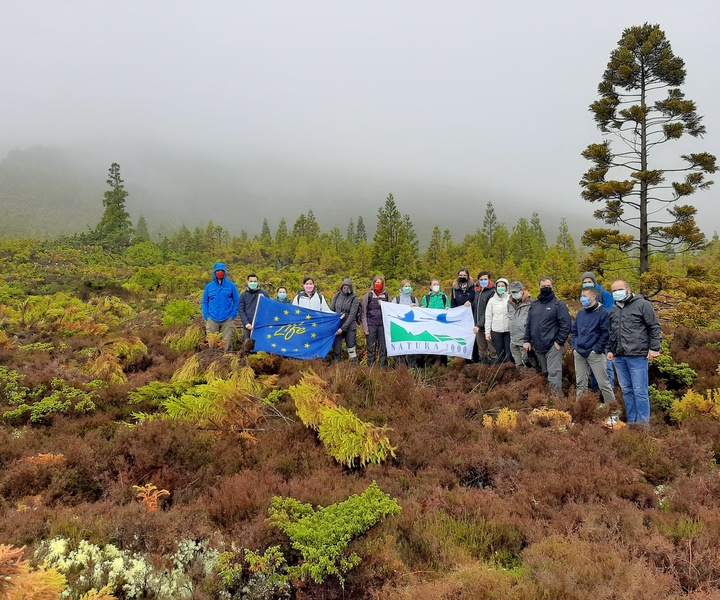LIFE IP AZORES NATURA | 3rd LIFE IP AZORES NATURA monitoring visit