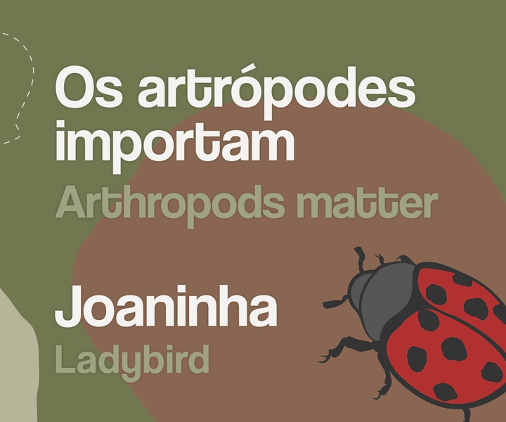 Arthropods matter
