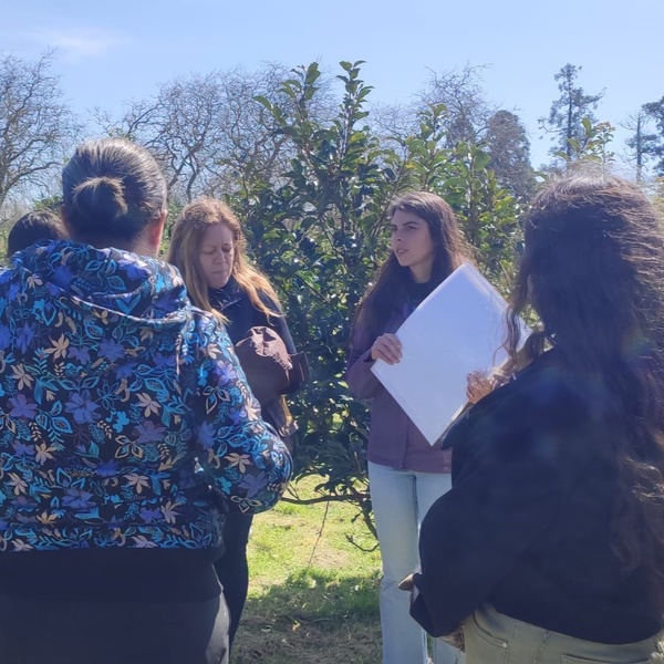 REINFORCE2 promove atividade no Dia Mundial da Árvore