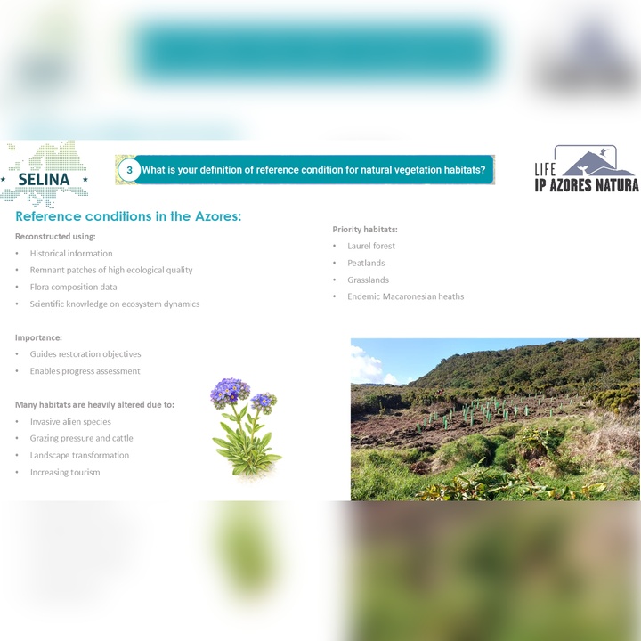 LIFE IP AZORES NATURA takes part in the SELINA online dialogue on ecosystem condition indicators