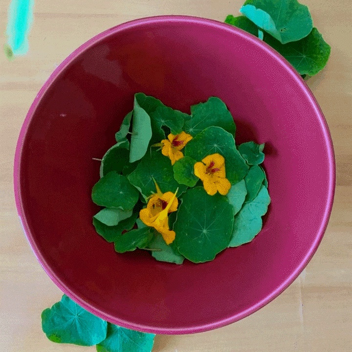 Did you know that there are edible flowers in the Azores?