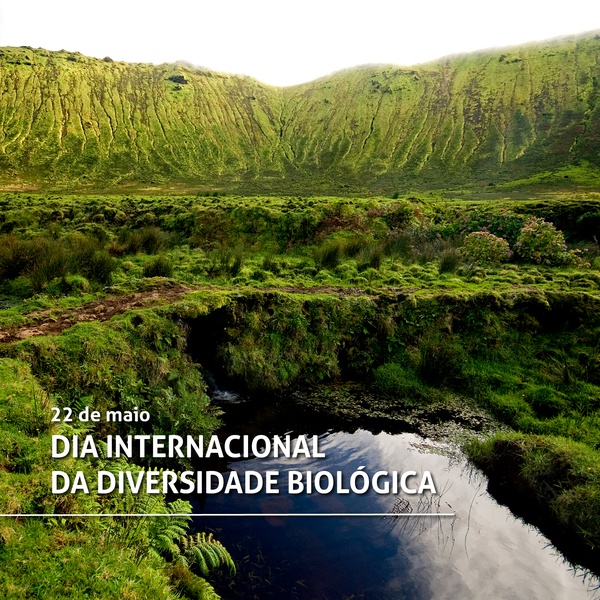 Dia Internacional da Diversidade Biológica