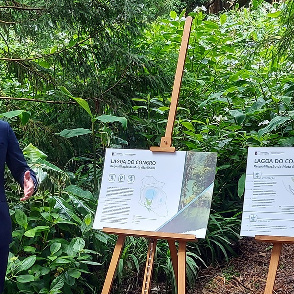 Azorean Government presents redevelopment project of the Lagoa do Congro Landscaped Forest