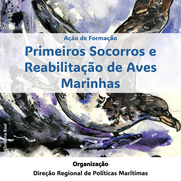 Formação em primeiros socorros e reabilitação de aves marinhas